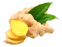 Ginger